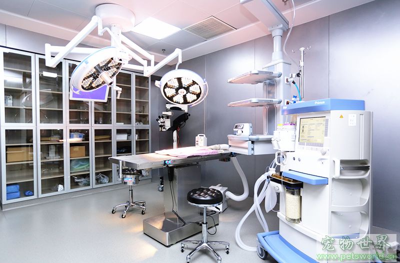 安安寵醫(yī)榮獲首屆“2018美團(tuán)點(diǎn)評(píng)年度寵物人氣商戶(hù)”稱(chēng)號(hào)